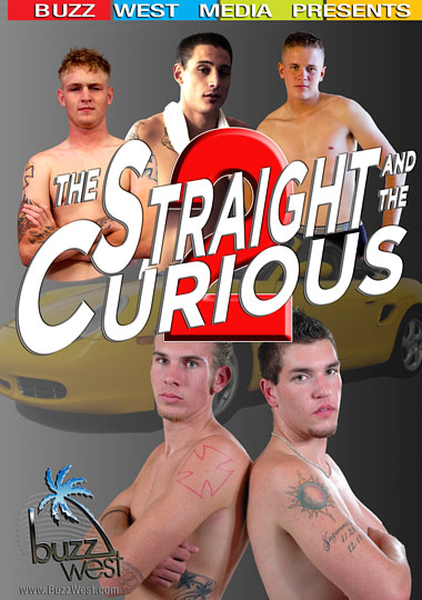 THE STRAIGHT AND THE CURIOUS 2