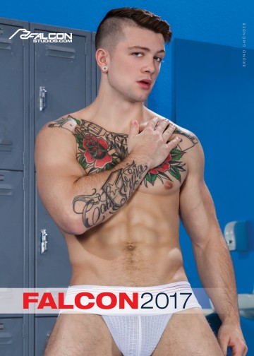 FALCON STUDIOS 2017 CALENDAR