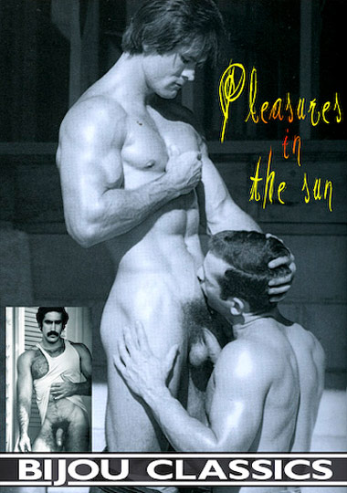 PLEASURES IN THE SUN