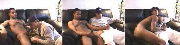 Sneek Peek Productions FULL FLAVA #1: TIGG'R, , Sneek Peek Productions FULL FLAVA #1: TIGG'R, ,