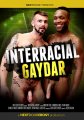 INTERRACIAL GAYDAR