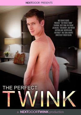 THE PERFECT TWINK