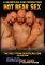HOT BEAR SEX